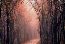 开云体育入口-东南亚足球风暴：鱼腩变鲨鱼，四强版图面临重构