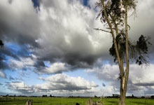 开云体育app-波兰队在欧预赛战役中展现实力，居于领先