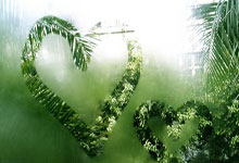 开云APP-沙漠玫瑰怒放！尼日尔女足用铁血意志撕碎强敌神话