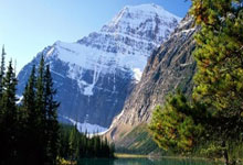 开云体育在线-阿尔希拉尔中场大将伤愈复出，战帕尔梅拉斯阵容稳固