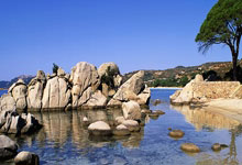 开云体育app-波兰队在欧预赛战役中展现实力，居于领先