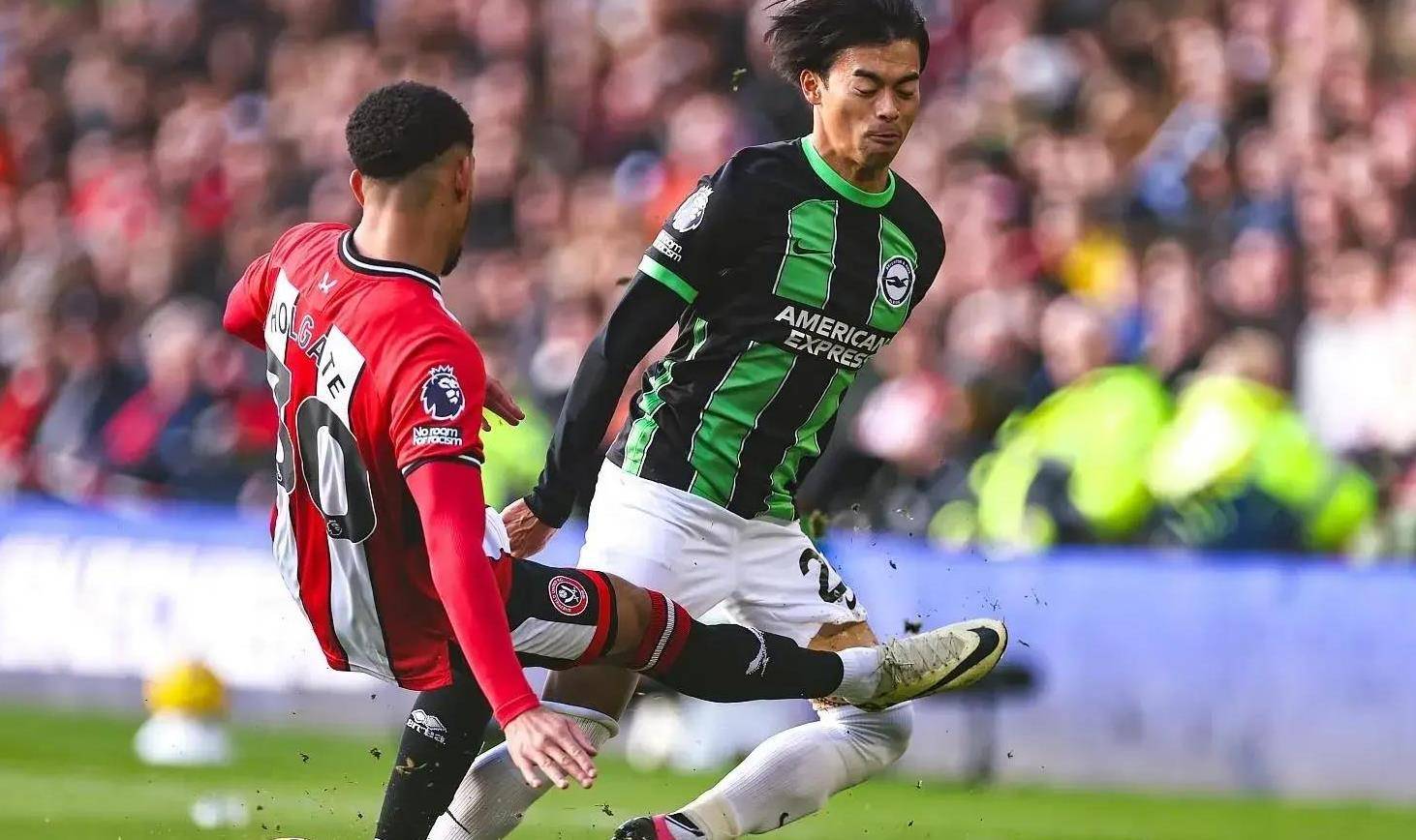 开云体育平台APP-澳大利亚队无懈可击，连胜积分榜