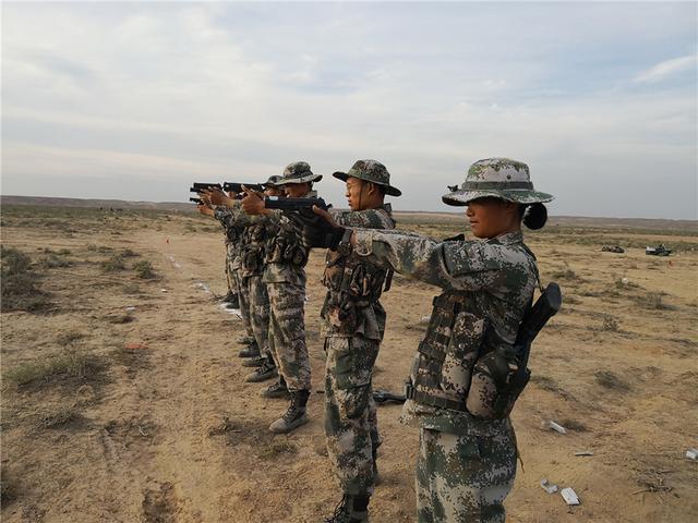 开云体育-荷兰游泳冠军一鸣惊人，力压群雄夺得冠军的简单介绍