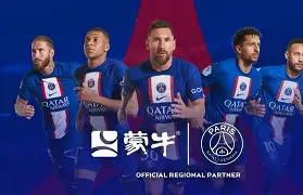 开云APP-巴黎圣日耳曼主席放大招：线上引援受挫的简单介绍