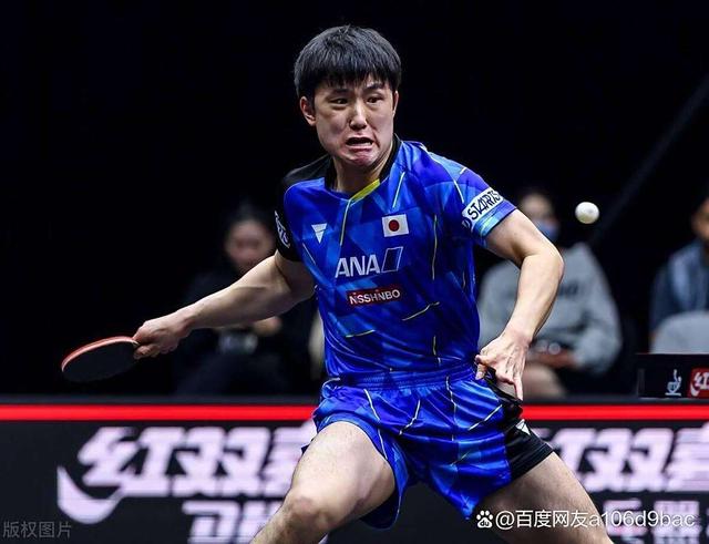开云体育app-中国乒乓球队轻取波兰乒乓球队，张本智和送出助攻的简单介绍