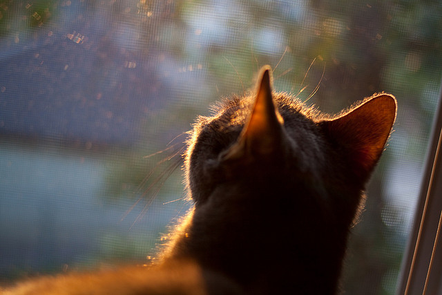 卡马文加教科书级表现引全球瞩目,毕尔巴鄂压哨绝杀秘鲁彰显足球魅力