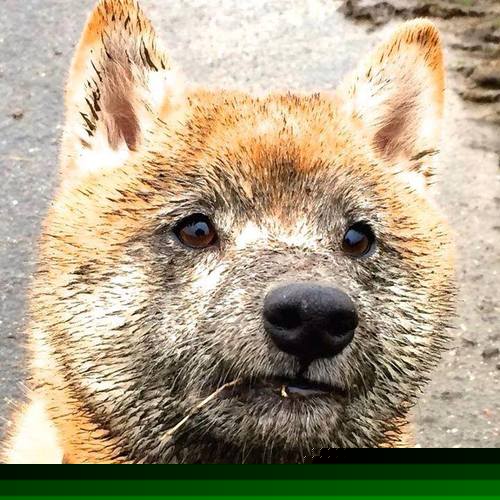 开云体育官方网站-虚惊一场的国际对决，帕尔默魔法，切尔西碾压阿尔及利亚