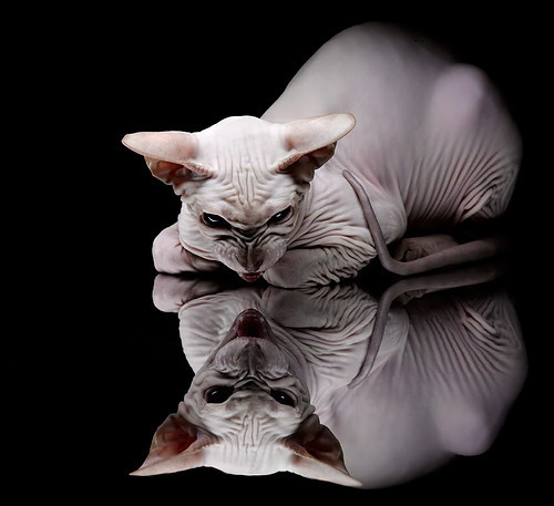 开云体育下载-逆天改命的C罗，土耳其激战玻利维亚，绝境中的王者归来