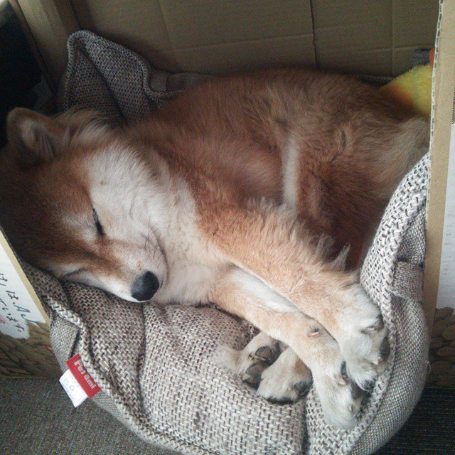 开云体育官网-绝对碾压，无名之辈马里如何将切尔西的争冠梦踏得粉碎