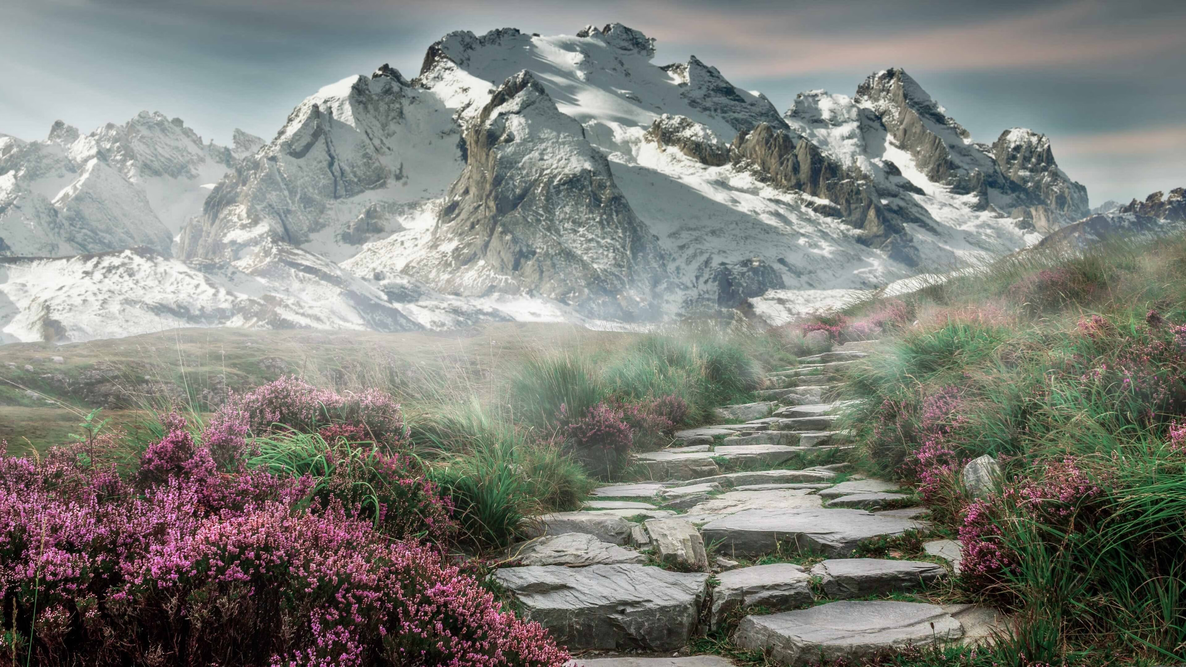 巅峰决战夜,克莱三分雨诠释汤神模式