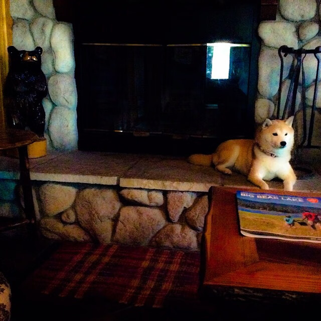 欧冠风云录,萨拉赫关键回合定乾坤,曼联火力全开压巴萨