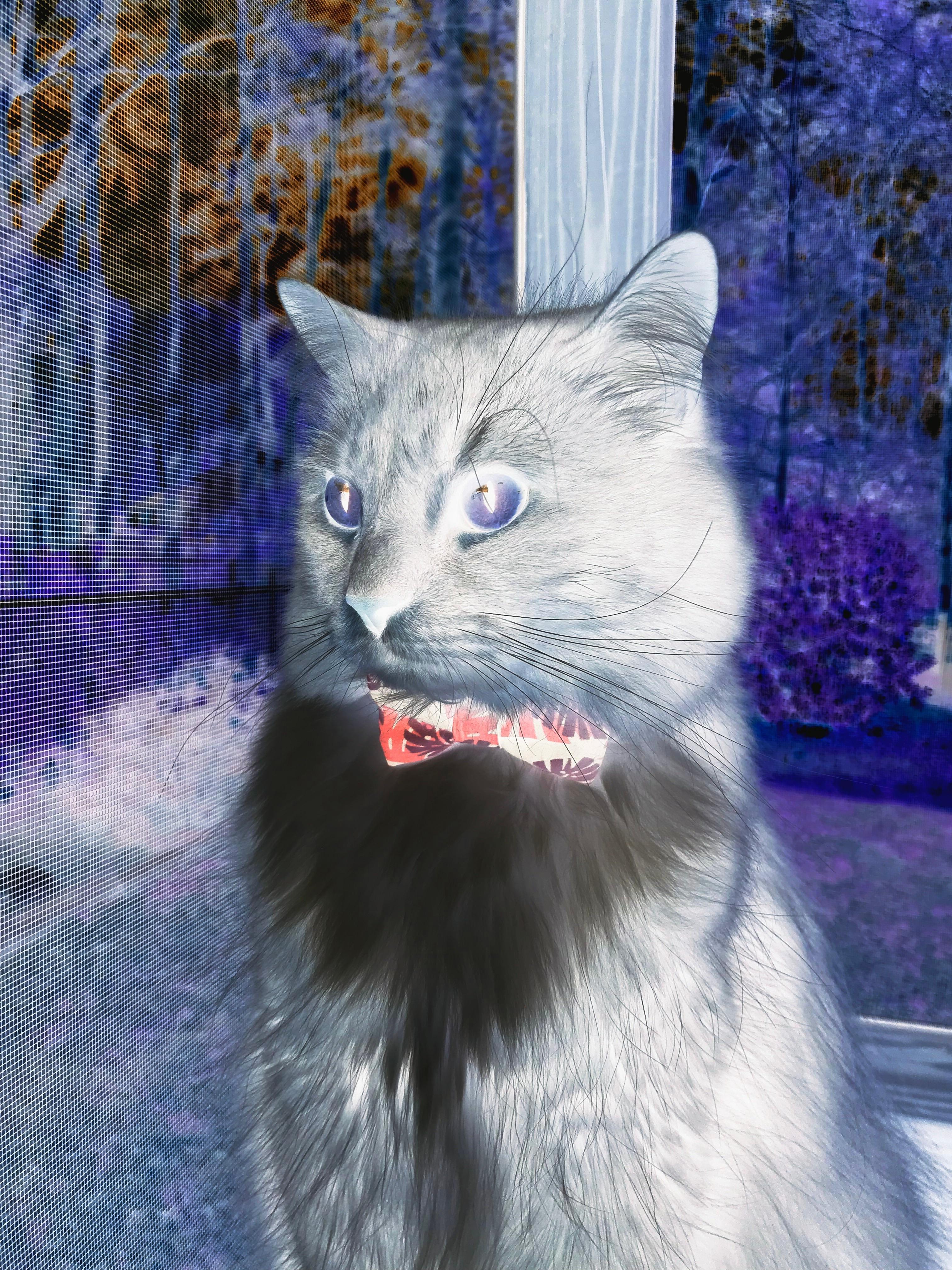 梦剧场崩塌夜,比利亚雷亚尔以潜艇战术打穿红魔,伊萨克双子星闪耀