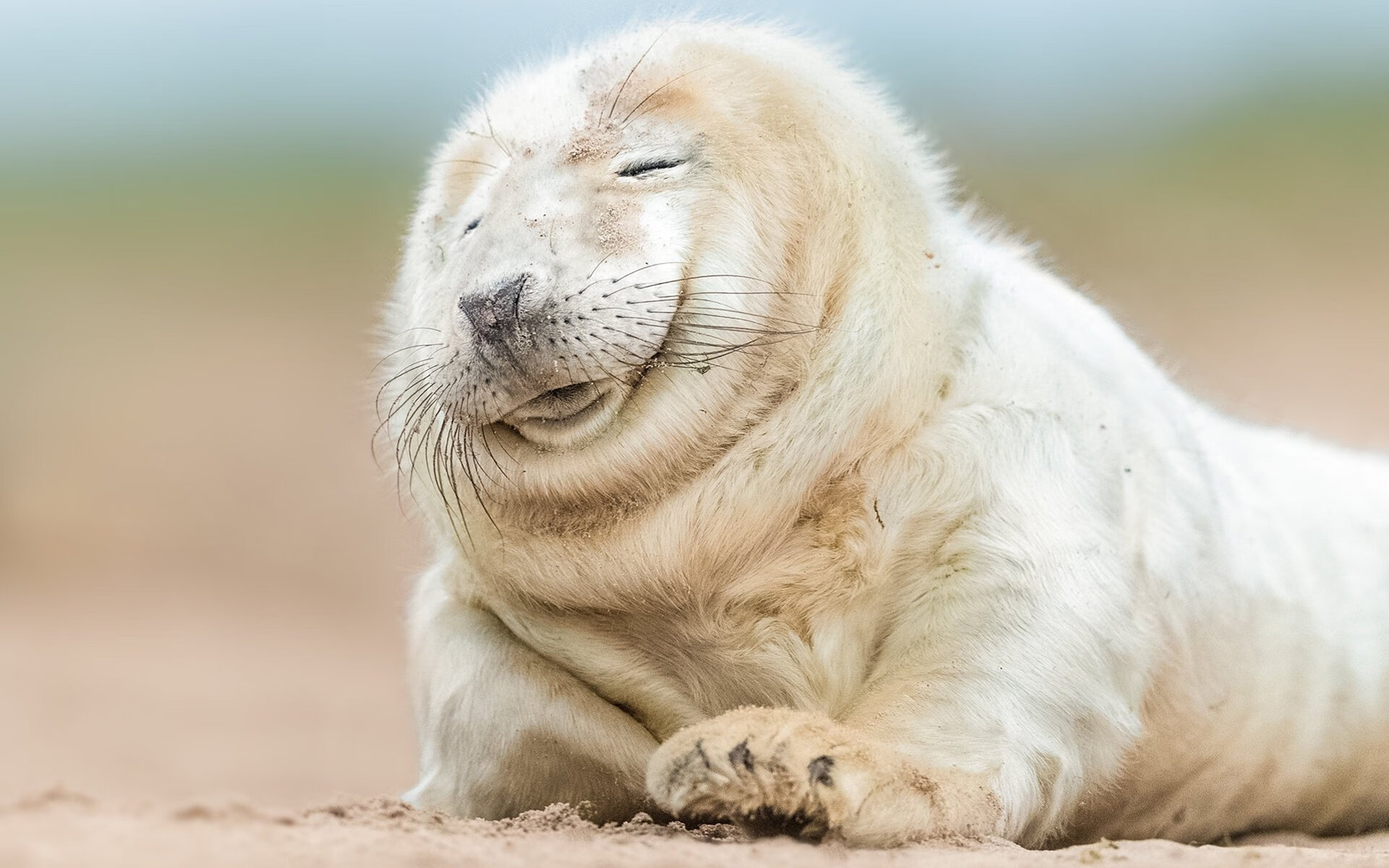 爱德华兹炸裂！鹈鹕轻取奇才，新星狂轰XX分主宰赛场