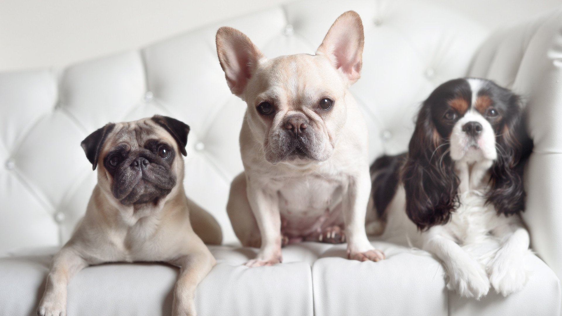 开云体育登录-绿茵救赎录，当塞维利亚的铁血遇上莱比锡的洪流，萨卡在另一片战场重生