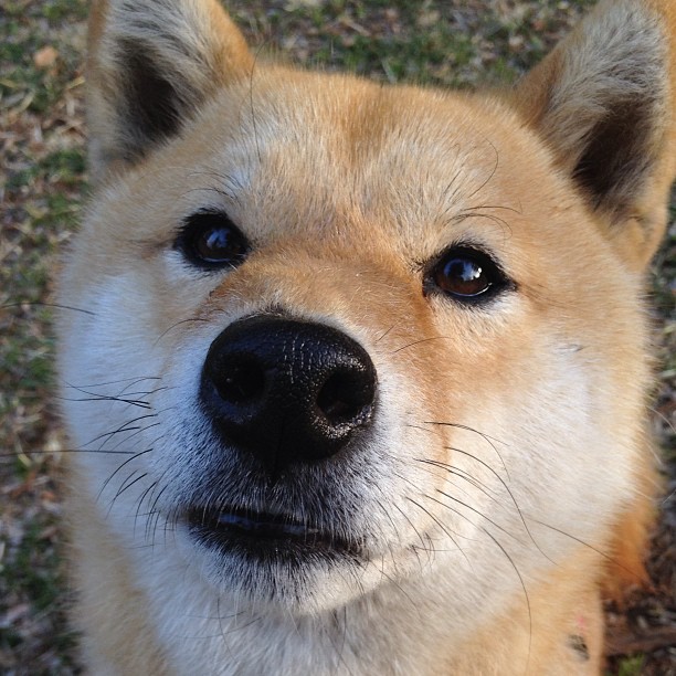 双线闪耀，从广东队东方荣耀到浓眉紫金神话，篮球如何跨越山海共鸣