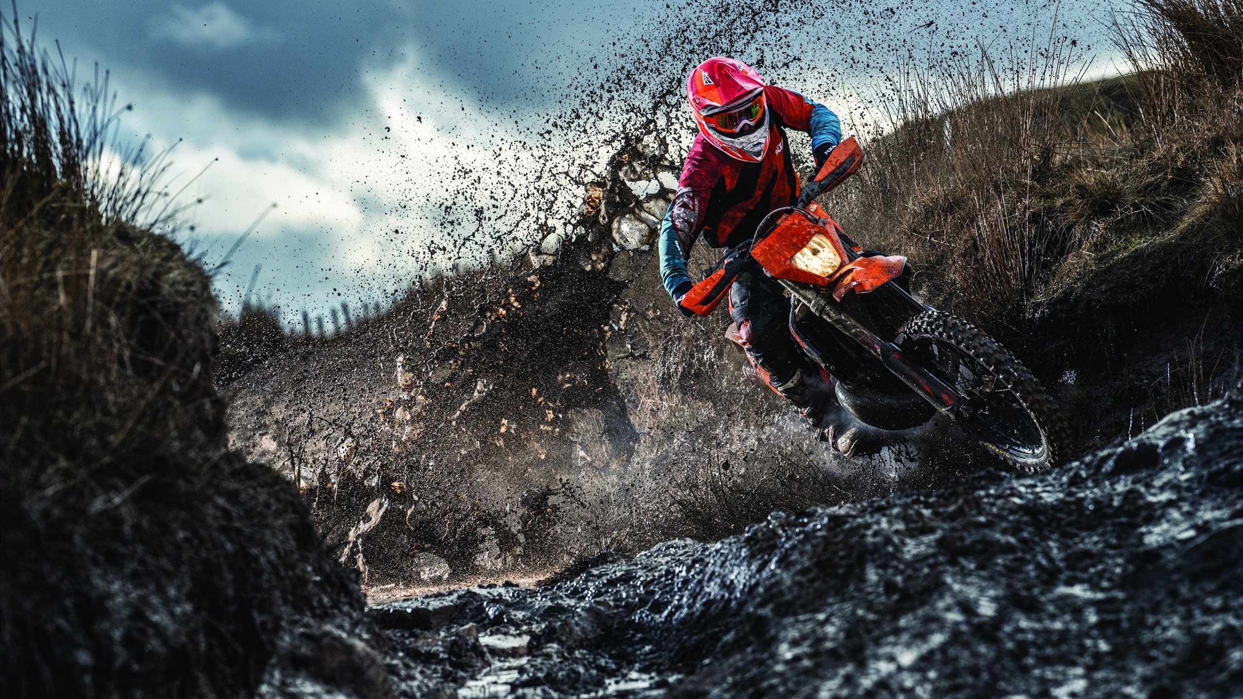 莫兰特防守端锁死对手铸就铁壁，骑士末节狂飙逆转猛龙展韧性