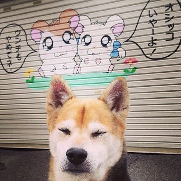 意甲焦点战中的战术启示,浙江队如何以战术压制开拓者