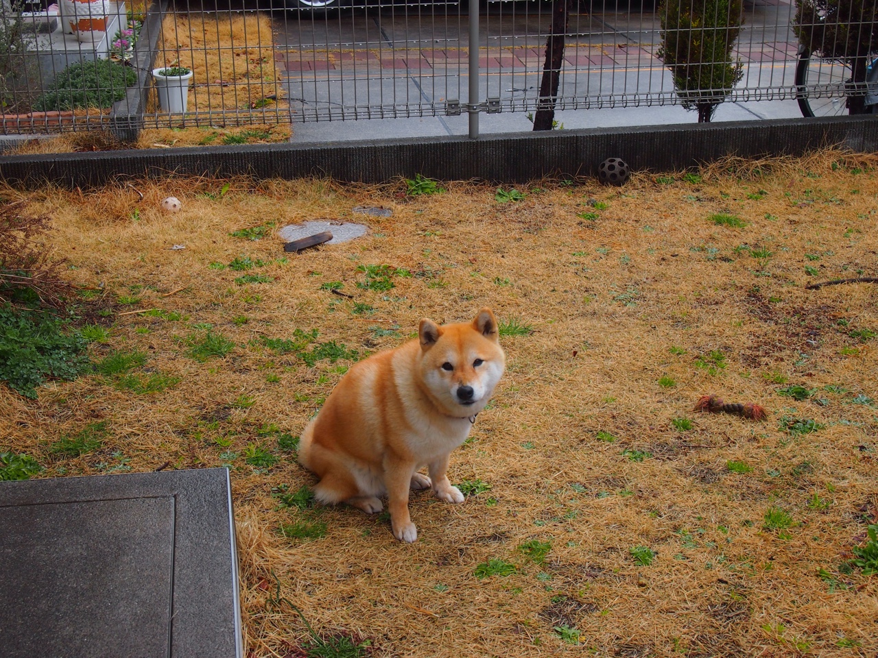 鹰击费城，老鹰争冠战力克76人，哈登如F1王者独舞接管比赛