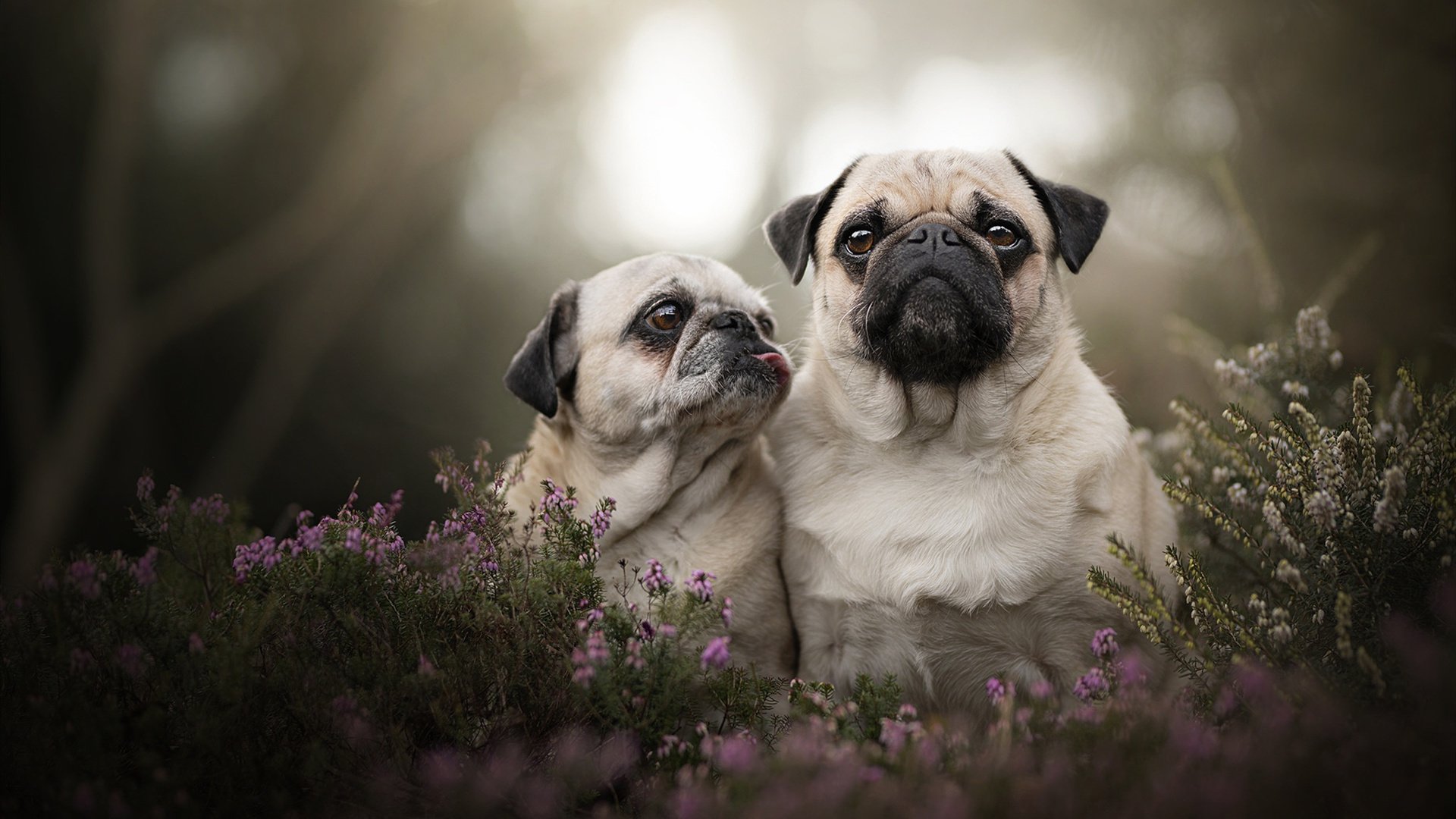 奥运周期关键战之夜，加维成为全场焦点